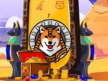 这个以狗为主题的 DeFi项目筹集的 6000 万美元发生了什么