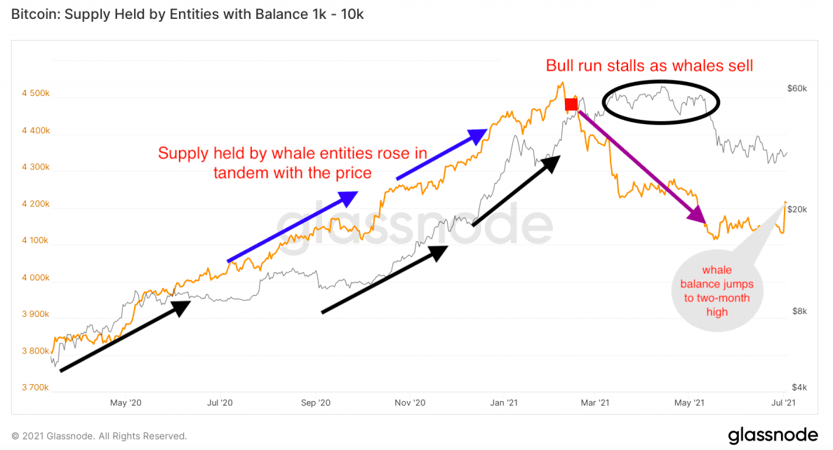 鲸鱼持有的比特币供应量创下两个月来新高，市场或已触底？