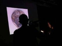 顶级NFT上周销量大幅下降，未来将崩盘？