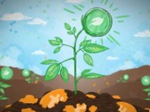 单日暴跌10%，超5万人爆仓后，比特币走下神坛