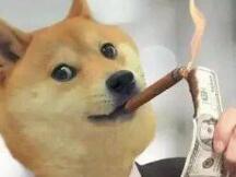 疯狂！这一加密货币单日暴拉200% 一年狂飙18000%