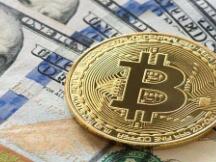 灰度比特币投资报告称：比特币投资者中有 83% 的人在 2020 年继续投入资金