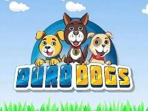 Duro Dogs：在NFT平台学习养狗教程