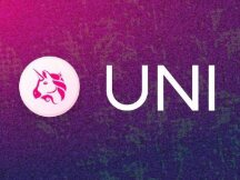 流动性竞争：Uniswap v3 费用和逐底竞争