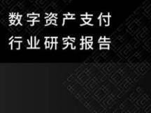 数字资产支付行业研究报告：行业背景、解决方案和代表项目