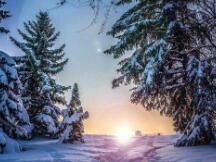 Coinbase发布上市后的首个财报，股价却大幅下跌