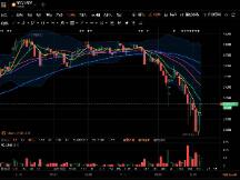 又是百亿爆仓的一天！20万人追逐财富梦的脚步戛然而止