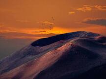 数据：近期MetaMask营收居DApp榜首，知乎导流量超6%仅次于CoinMarketCap