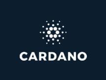 Charles Hoskinson：别称我为以太坊联合创始人