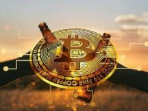 未来是确定的，过程是曲折的