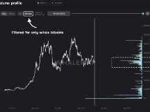 比特币多数高位买进者已经投降！巨鲸在BTC近4万美元进场
