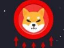 柴犬币Shib晋升全球加密货币排名第11名，市值有望超越狗狗币