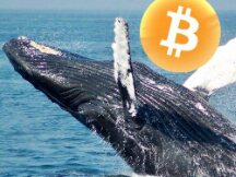 比特币第三大鲸鱼3天内清光132882枚BTC 获利1.06亿美元出场
