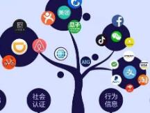 国产世界级公链Conflux