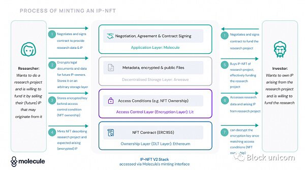 IP x NFT生态系统格局：NFT的潜力和优势