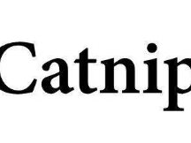 Catnip 从一个小小的预测应用，窥探DeFi的星辰大海