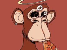 Coinbase 将制作无聊猿的动画？快拿你的 NFT 来选角