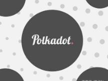 Polkadot的主网终于要上线了，我的代投却跑了