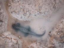 百万丰水矿场招商难，无奈接盘S9？