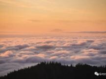 【Deribit期权市场播报】0207：费率惊人