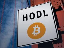 出人意料，自上次牛市以来近一半的比特币没有被挪动过