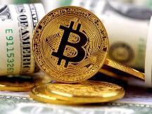 全球超1亿人使用加密资产，矿池是亚洲加密货币交易所活跃用户