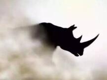 狗狗币百度指数超比特币创新高 SHIB国内热度远超海外