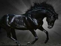 MDEX.COM挖矿上线满月，跃居全球DEX成交量榜首，超Uniswap2倍