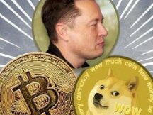 比特币，狗狗币还是其他什么？