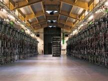 美国两大比特币挖矿巨头 RIOT 和 Marathon股票年内平均回报率已超300%