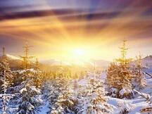 几大交易所被Shib集体搞崩 大波动币种需要注意风险