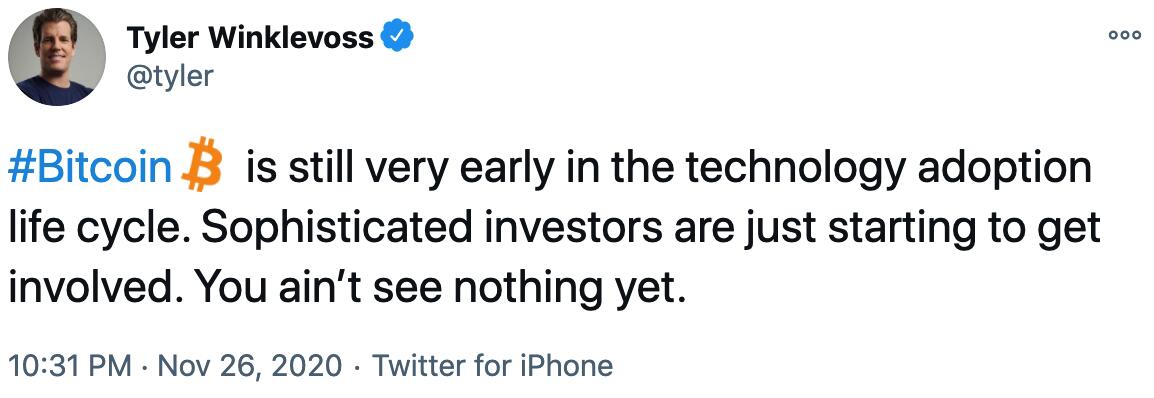 Gemini创始人:BTC仍处于技术早期阶段,经验丰富的投资者刚刚涉足