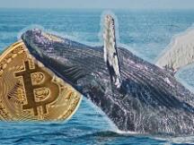 数据分析：本次比特币创纪录的下跌究竟是谁推动的？