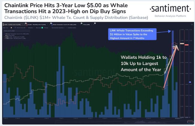 由于LINK价格重新触及 3 年低点，Chainlink鲸鱼交易创下年度新高