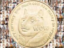 大多数人持有狗狗币才是马斯克购入狗狗币的原因