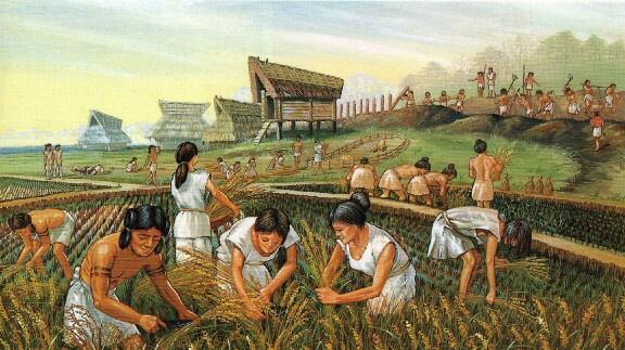 古代农业发展对如今的DeFi变革有哪些启示？
