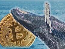 数据分析：本次比特币创纪录的下跌究竟是谁推动的？