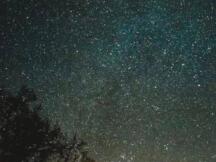 DeFi：“涨” 上去的总锁仓价值