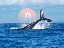 比特币巨鲸抛售趋势减速，近18万枚比特币在过去一周被交易