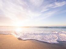 总锁定价值创113亿美元新高，DeFi将迎接下一个浪潮而不是下半场