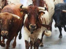 以太有望创下4月以来最大月度涨幅，分析师依旧看涨