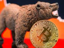 熊市预警！市场指标表明，比特币牛市或已见顶