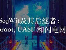 SegWit and its affiliates: Taproot, UASF and Lightning Network