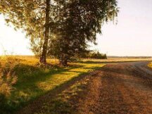 牛市下半场，如何布局NFT和DeFi领域