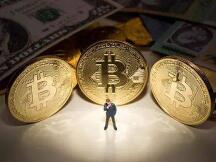 比特币暴跌之下，什么样才是一个合格的币圈韭菜？