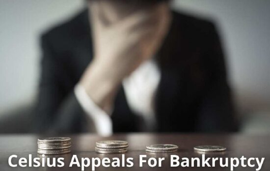 Celsius破产，加密货币投资者向法官求助：拿不回钱就自杀