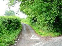 是否要兼容 EVM？这是个问题