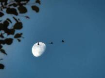 Uniswap之后的下一个爆点？Aave启用新的治理平台，即将开启代币迁移