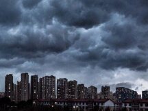 波场DeFi现场假狗横飞：公链进军DeFi难行