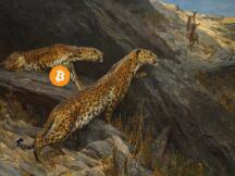 当大部分人都觉得比特币还要跌时，结果它涨了